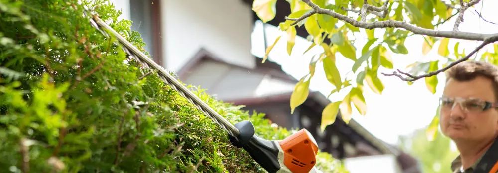 Gepflegte Hecke – Gartenpflege
